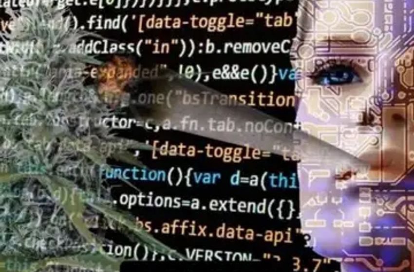  AI Knows If You’ve Recently Smoked Cannabis, Researchers Say: Here’s Why They Care