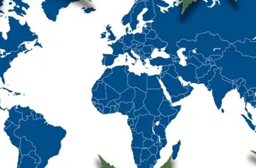 Global Cannabis Insights: A Snapshot Of Substance Trends And More