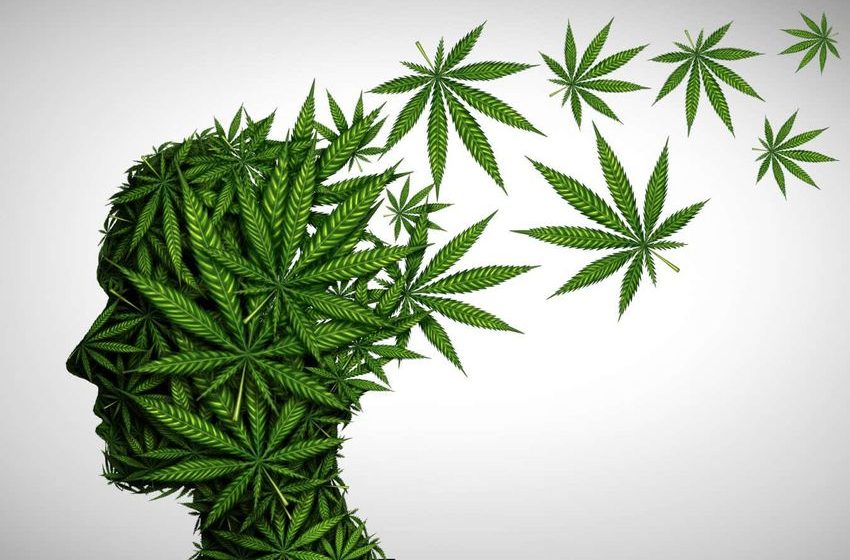  How we get high: Unlocking the secrets of the endocannabinoid system