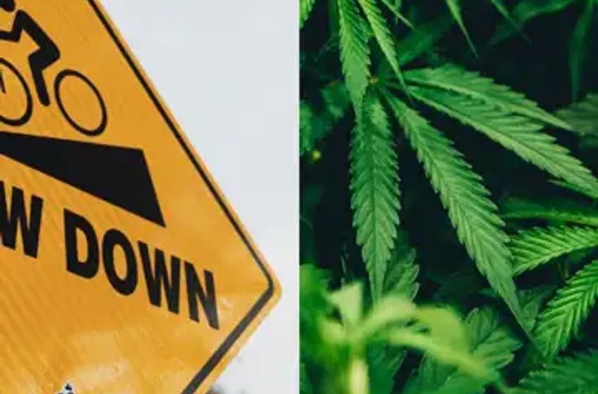  Report Calls On Congress To Avoid Proliferation Of Cannabis Monopolies When Considering Legalization