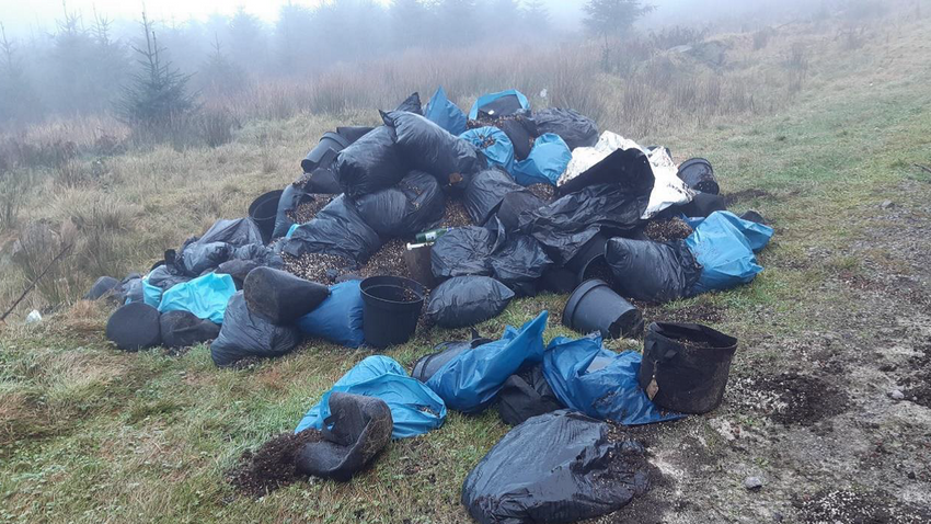  Cannabis farm waste found dumped in forest
