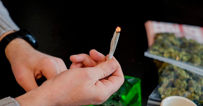  GPs warn against legalising cannabis ahead of Citizens’ Assembly vote, citing ‘profound adverse effects’
