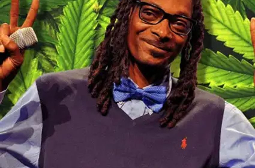  Study Shows Cannabis Consumers Are Successful, Motivated, Health-Conscious: Snoop Dogg Weighs In