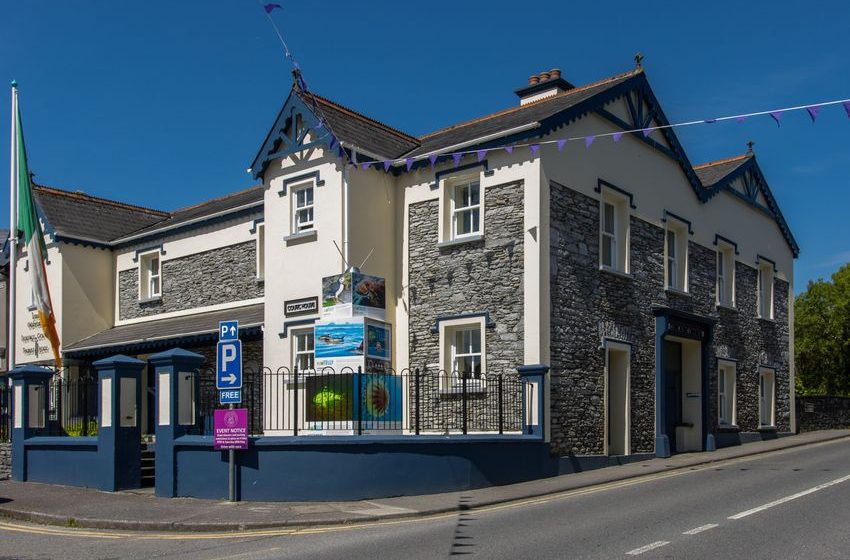  Man who twice refused to provide blood sample to gardaí because ‘my blood is my own’ banned from driving for six years