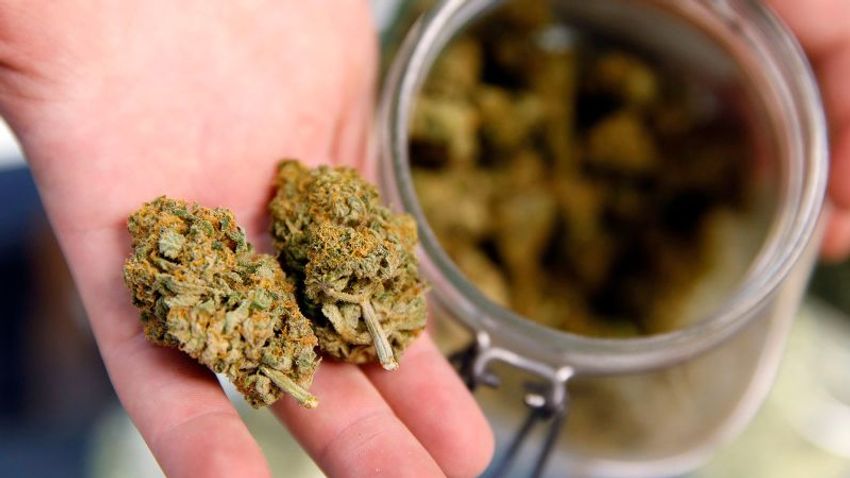  Using marijuana during pregnancy may heighten risk for baby | CNN