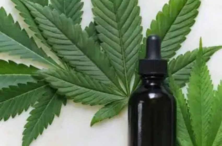  Regular Marijuana Use Increases Heart Failure Risk By 34%, Study Shows