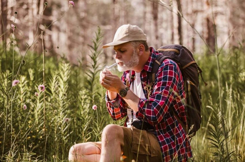  Cannabis can harm young brains but may improve learning in older age