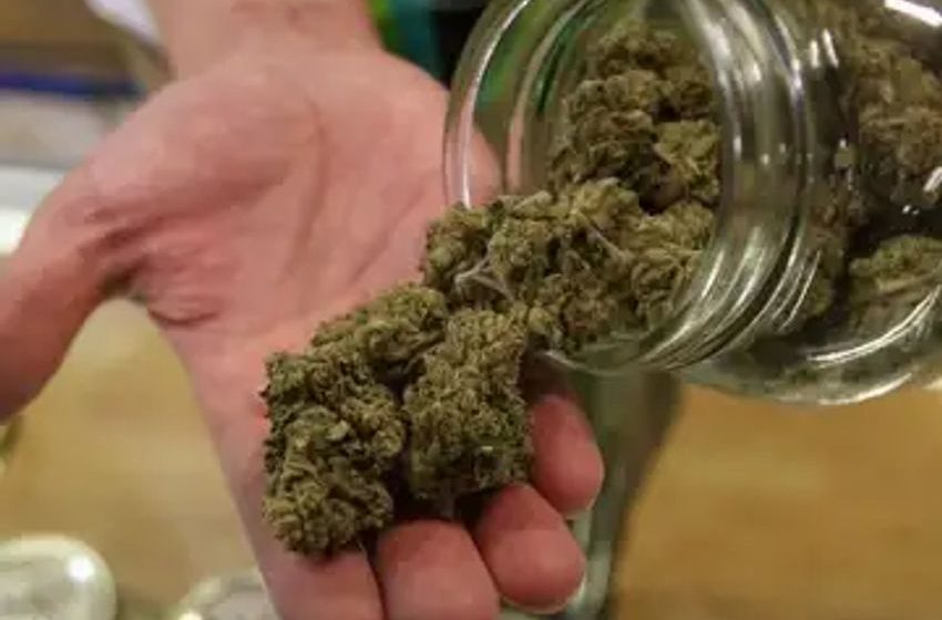  Daily Marijuana Consumption Tied to Higher Heart Disease Risk, Study Finds