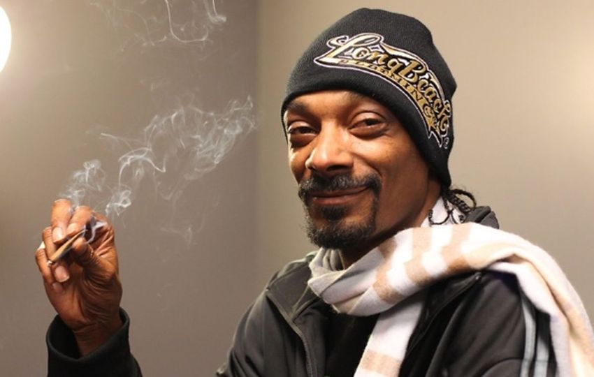 Snoop Dogg quitting smoking has actually affected weed on the stock market