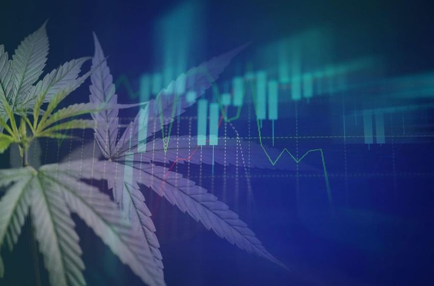  SMBs Are The Engine Of The Cannabis M&A Economy, Report Says