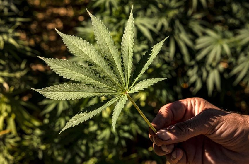  Rescheduling Cannabis Would Be a Broken Promise | Opinion