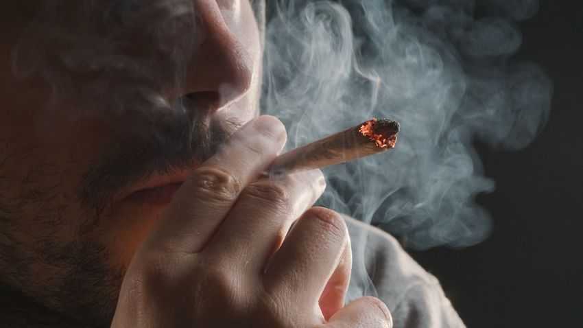  Marijuana use raises risk of heart attack, heart failure and stroke: studies