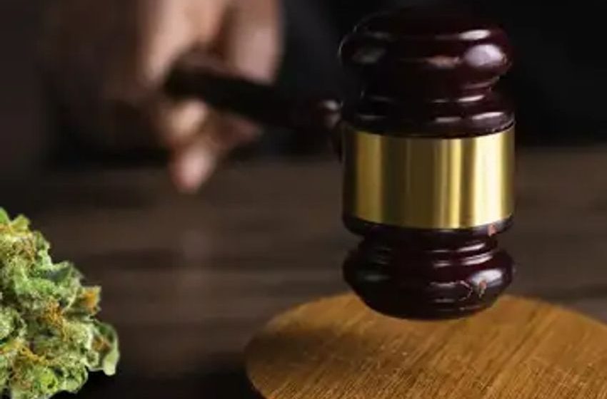 Cannabis Regulatory Update: NY Sen. Fights For Distressed Marijuana Farmers & More In MI, SD, OK