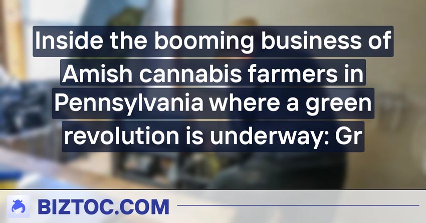  Inside the booming business of Amish cannabis farmers in Pennsylvania where a green revolution is underway: Gr