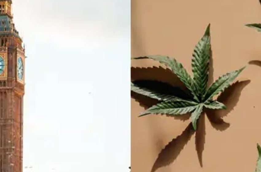 UK Cannabis: Medical Marijuana Imports Triple, Government Considers Regulating CBD Products As Food