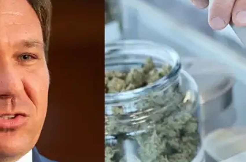  Ron DeSantis’ Exorbitant Hike On ‘Very Valuable’ Medical Marijuana Licenses Challenged In Court
