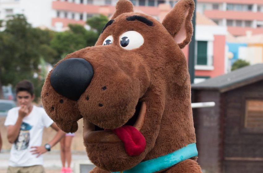  Is it illegal to get your dog high?