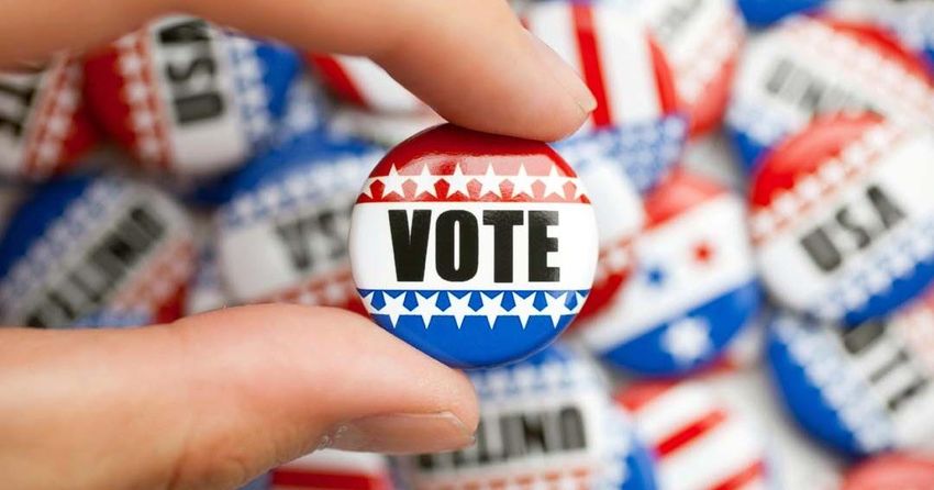  Voter turnout this year comes in around 20%