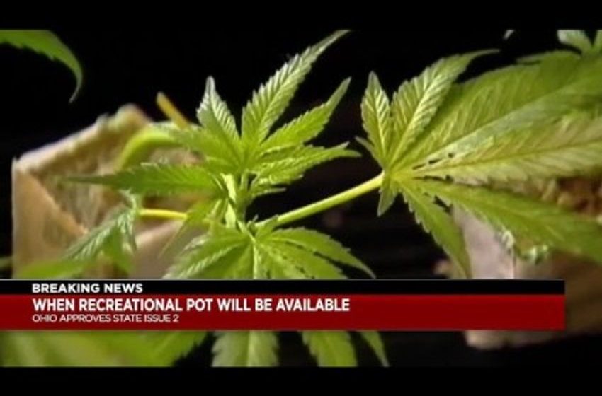  Marijuana Legalized In Ohio; GOP Already Planning Against It