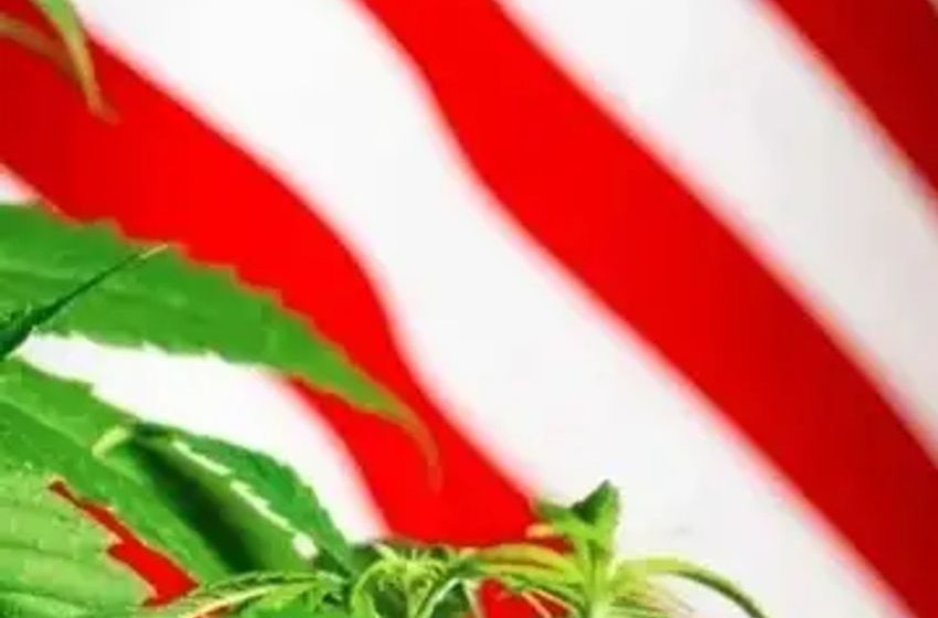  Biden’s Health Agency Unpacks Trends In Cannabis Use: Who’s Buying, Consuming What