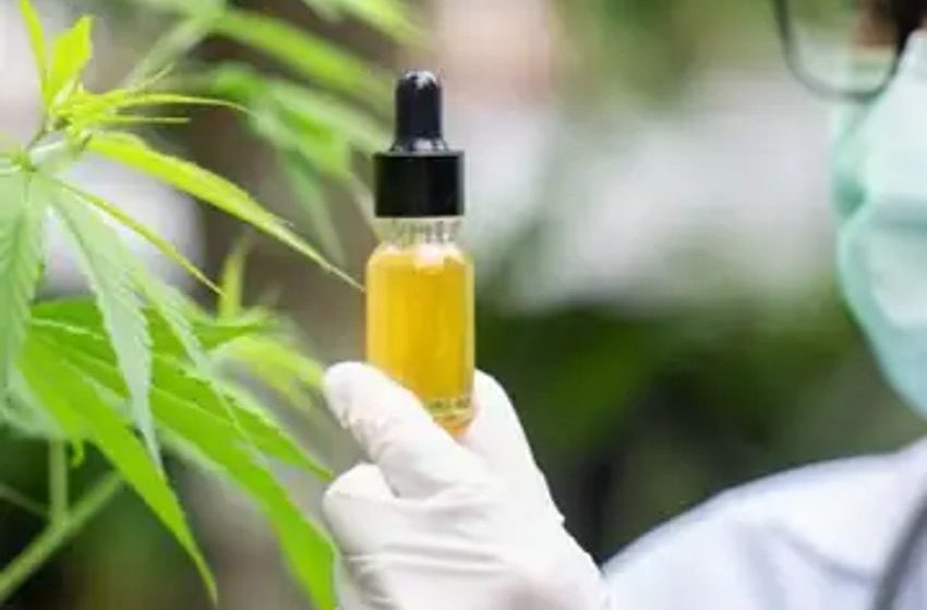  Here’s why the government wants to double its production of illicit drugs