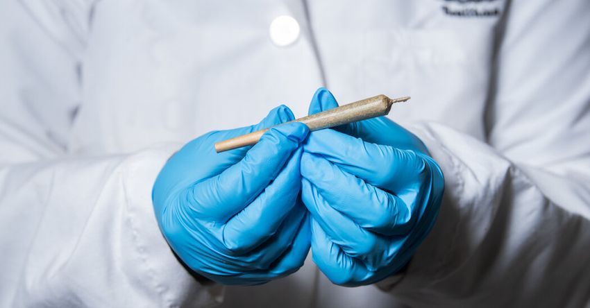 Federal Law Requires Choice: Marijuana or Gun?