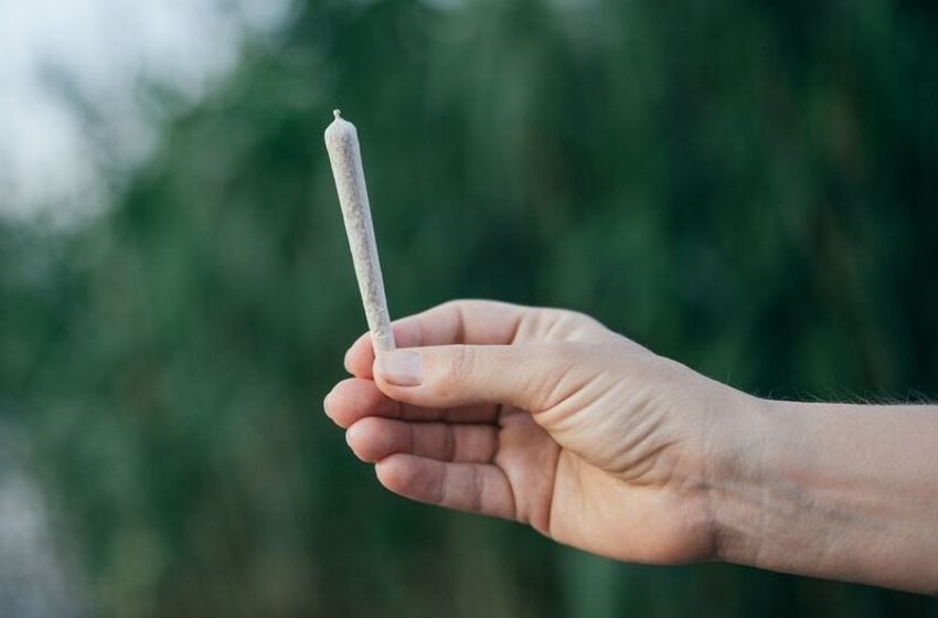 Revamped Cannabis Pre-Rolls – Tilray Brands, Inc. Unveils Redecan’s Redees ‘Hemp’d’ Pre-Rolls (TrendHunter.com)
