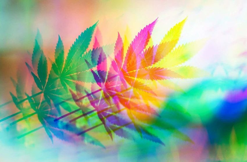  People feel more creative after using cannabis – they aren’t