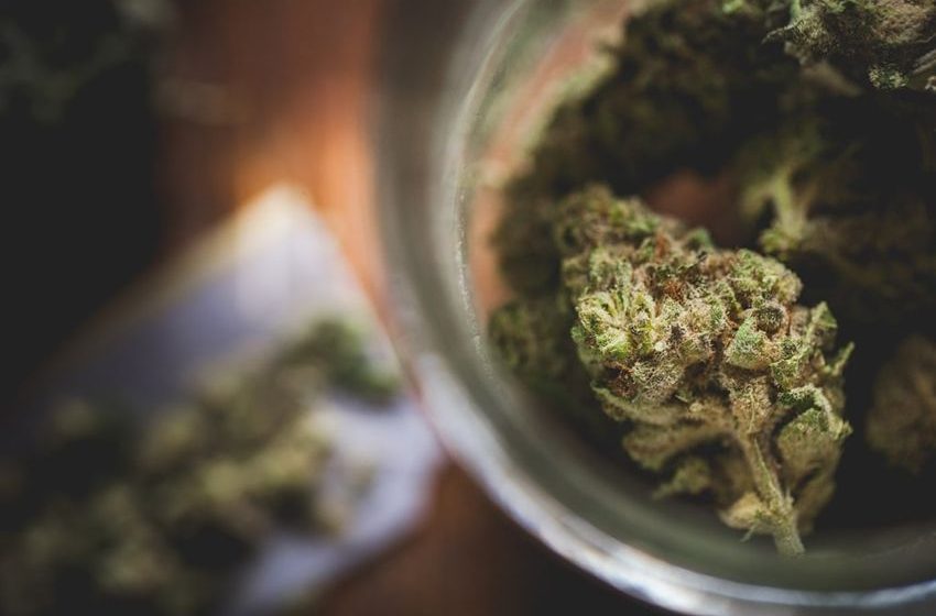  News24 Business | Medicinal cannabis group Cilo Cybin now targeting December listing
