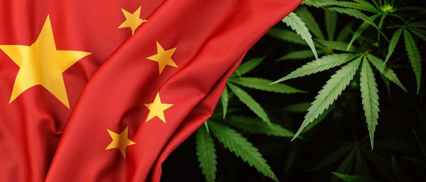  EXCLUSIVE: Illegal Chinese Pot Grows Are Taking Over Rural Blue State And Law Enforcement Isn’t Stopping Them