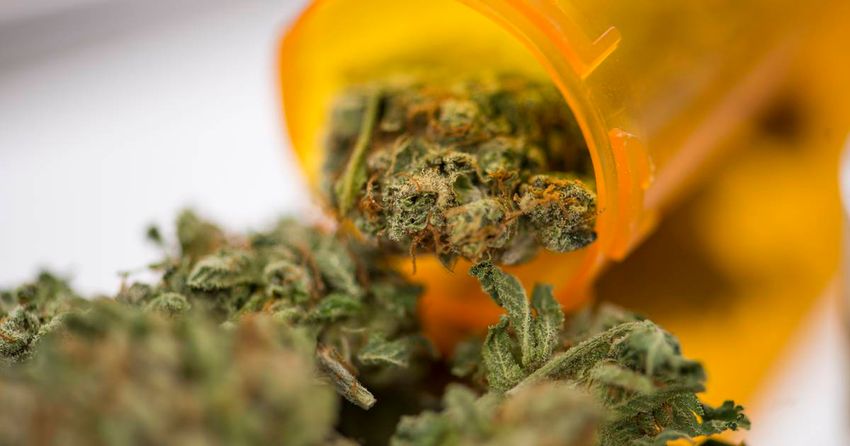  Two arrested following discovery of cannabis grow house