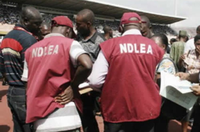  Wheelchair-bound drug dealer, ex- convict, others arrested by NDLEA