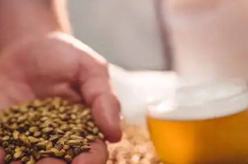  Climate Change Is Coming for Your Beer