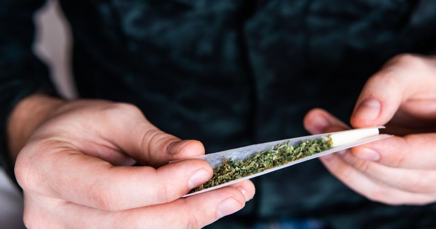  Cannabis users ditching conventional sleep aids for weed, study suggests