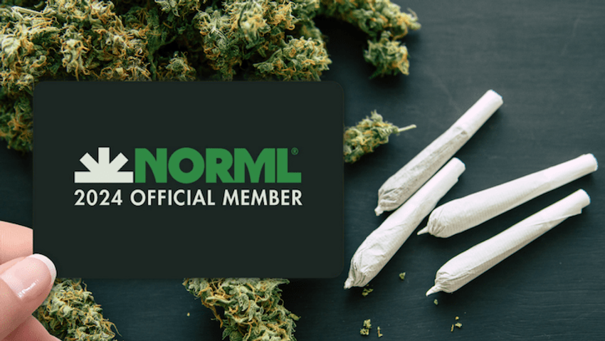  Join NORML for 2024