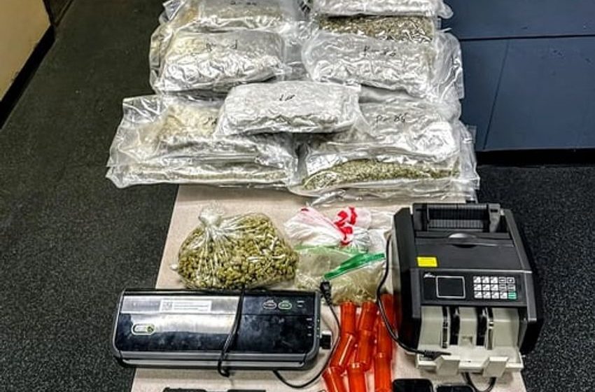  State Police find 45 pounds of marijuana, two guns inside unregistered minivan in Sturbridge