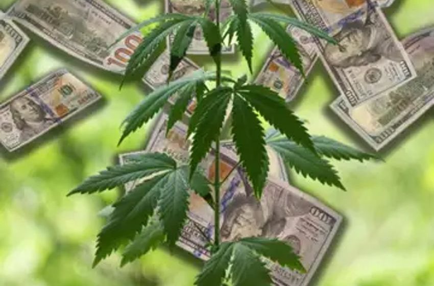  Maryland’s Green Rush With $55M In Weed Sales, Hemp Cultivators Sue Alaska And More Cannabis Regs