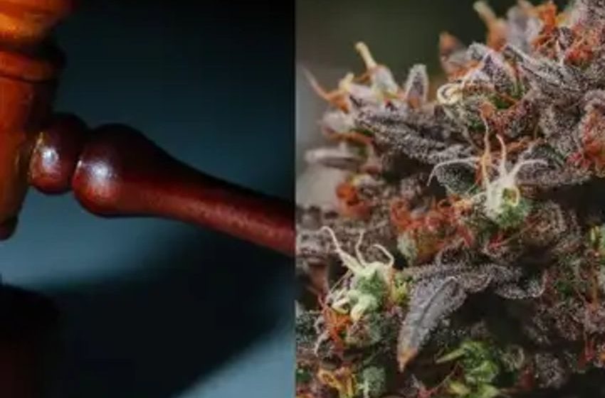  DEA Marijuana Rescheduling Likely By Next Year, Says Former FDA Official