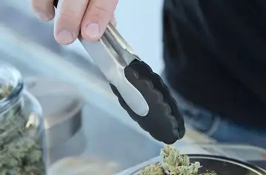  Smarter Weed Choices: Choosing Cannabis Beyond Strain Names