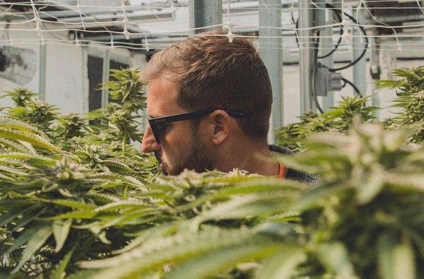 Surf Champ Justin Quintal Talks Cannabis, Mental Health: ‘Consumption Doesn’t Define Work Ethic’