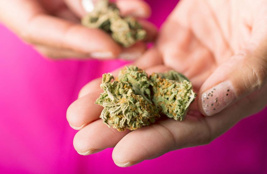  People Before Profit Bill to legalise personal use of cannabis seen as ‘test for Government’