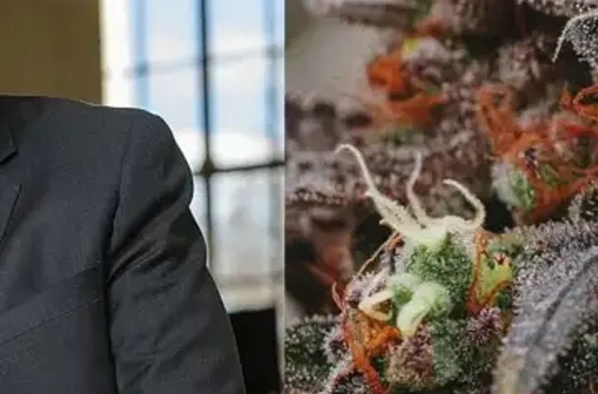 Senator Chuck Schumer And Former NBA Star Al Harrington Talk Weed Legalization And Banking Reform