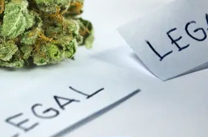  DEA Missteps In Marijuana Firing, Jersey City Cops Against Mayor’s Cannabis Crackdown And More