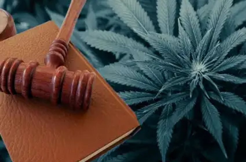  Weed Dispensary Takes California City To Court Over Opening Delays Resulting In Steep Costs