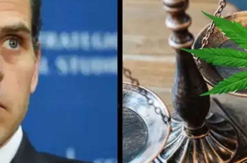  Hunter Biden Lawyers Argue Millions In Legal Marijuana States Violate Fed Gun Laws, Raising Unconstitutionality Concerns