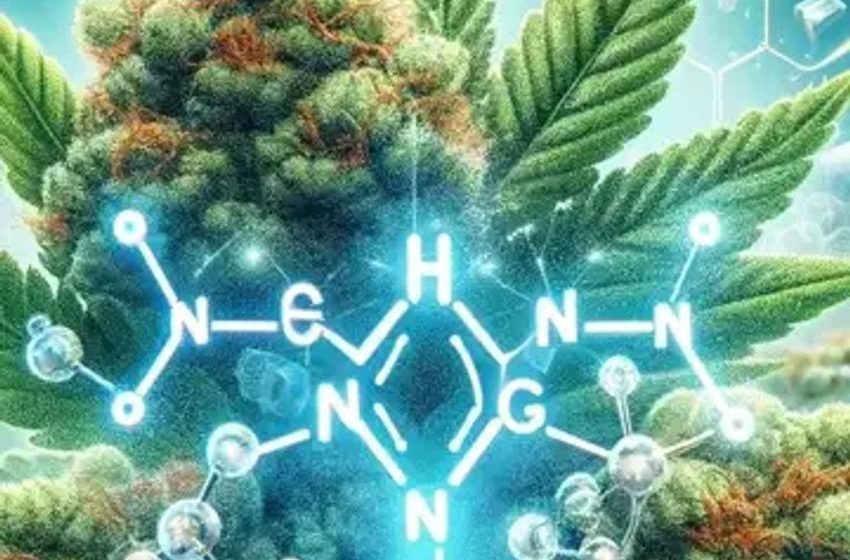  Turning Sugars Into Pure, Pharma-Grade Rare Cannabinoids:This Company’s Breakthrough