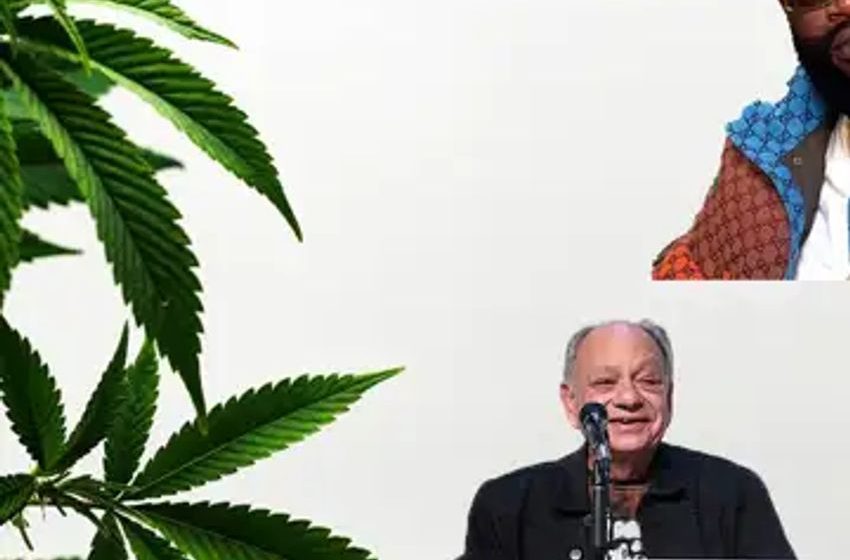  Cheech & Chong, Rick Ross, Hemp Products Hit Shelves In India And Thailand Via Hempacco-CBDAY Partnership