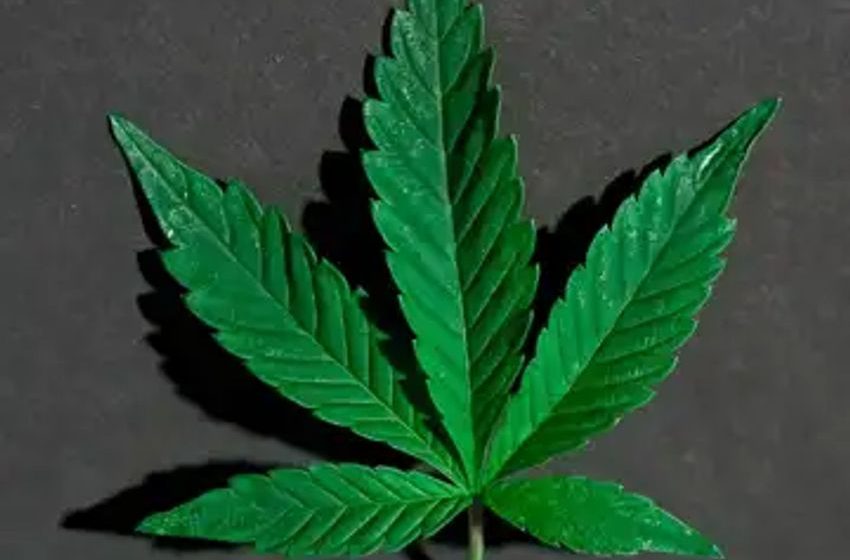  Federal Agency Finally Releases Info On Cannabis Rescheduling Suggestions To DEA, Most Important Data Redacted