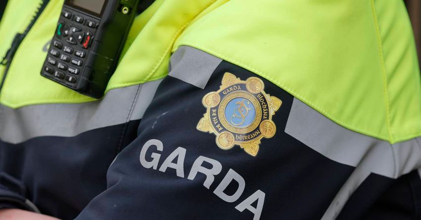  Man arrested as submachine gun and cannabis seized in Limerick