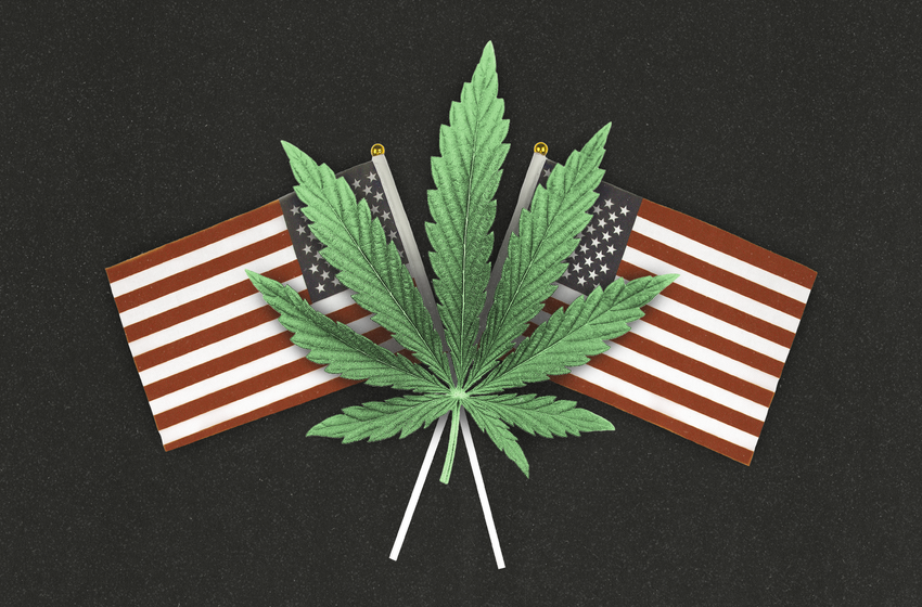  Just a reminder that, despite talk of pardons, actual involvement in cannabis is still very illegal at a federal level [Asinine]